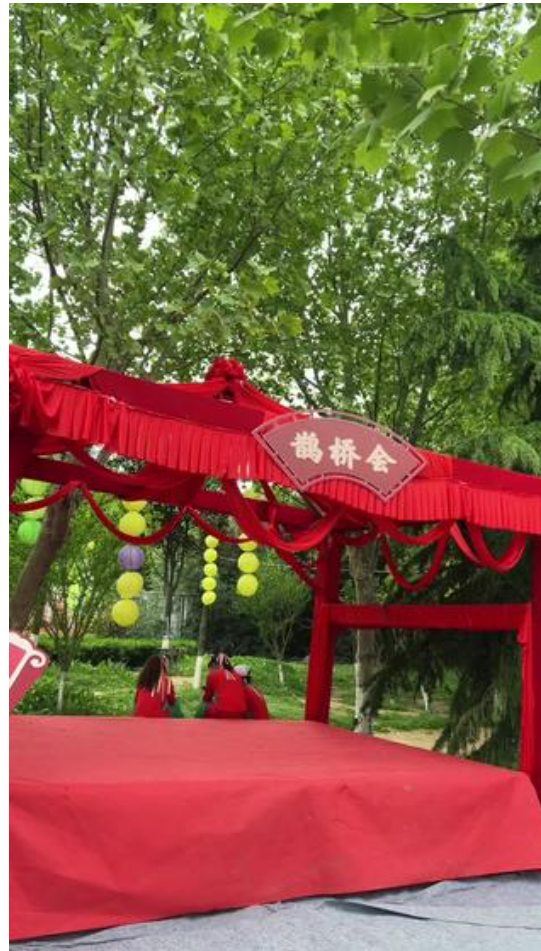 桃花朵朵, 那两天要在古城新野遇见你!!!