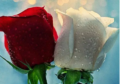 爱一场恨一场，缘起誓言到白头，缘落相看两相厌