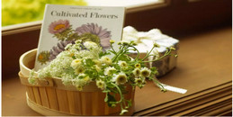 不是每一句对不起，都可以换来没关系_www.17xiangqinwang.com