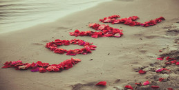 世上美好，属于你的，终究会来-www.17xiangqinwang.com （一起相亲网）