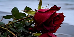 67fcae189f754.png 2025-03-03_173705.png