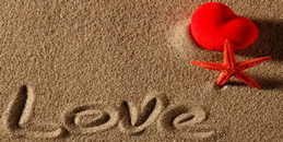 680c96a65c71f.png 2025-03-03_162624.png